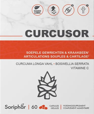 Curcusor